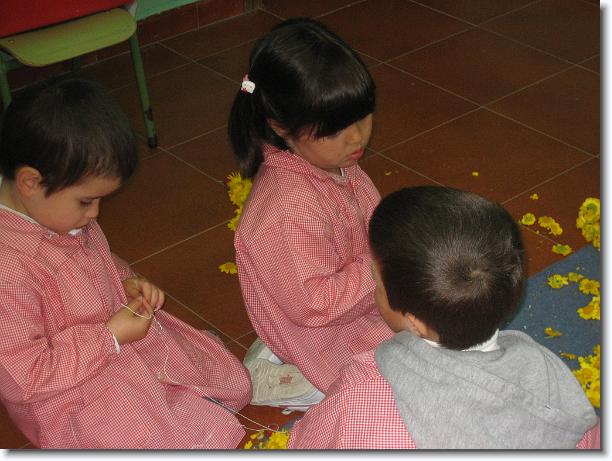 Diapositiva siguiente